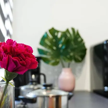 Victoria In The City Center Appartement Katowice